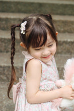 Load image into Gallery viewer, Nabi / Single Item