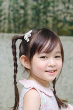 Load image into Gallery viewer, Nabi / Single Item