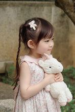 Load image into Gallery viewer, Nabi / Single Item