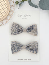 Load image into Gallery viewer, Mini Toile de Jouy / Set of 2