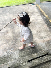 Load image into Gallery viewer, Aerine / Single Item