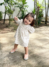 Load image into Gallery viewer, Aerine / Single Item