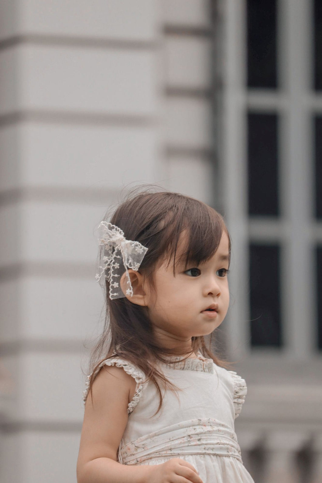Lace Longtail Bow